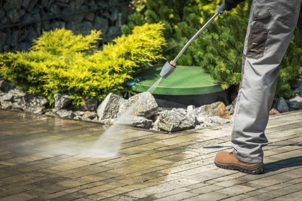 Best Soft Washing for Delicate Surfaces in Goliad, TX